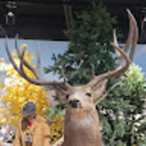 Meet your Posher, Matthew